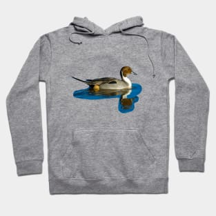 Pintail reflections Hoodie